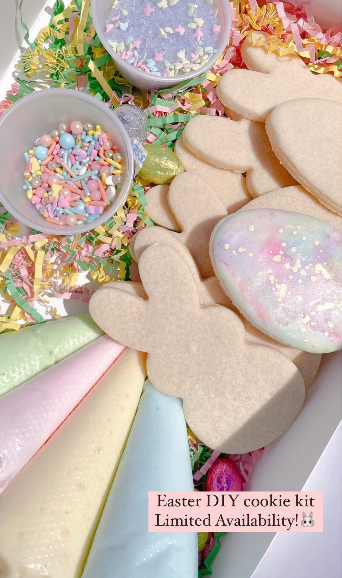 Easter DIY Kit